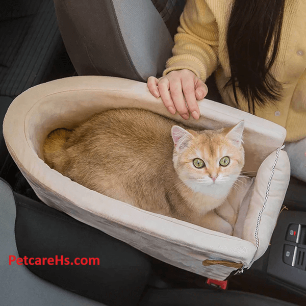 CAT CAR SEAT
