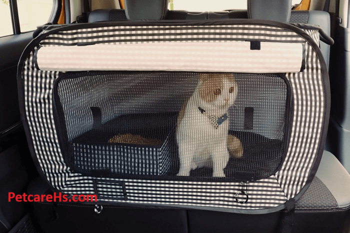 CAT CAR SEAT