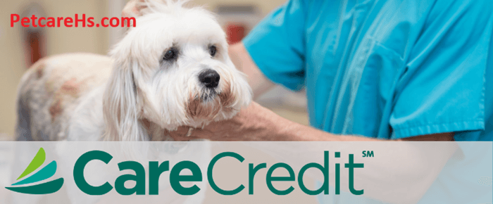 Care Credit for Pets, Everything You Need to Know