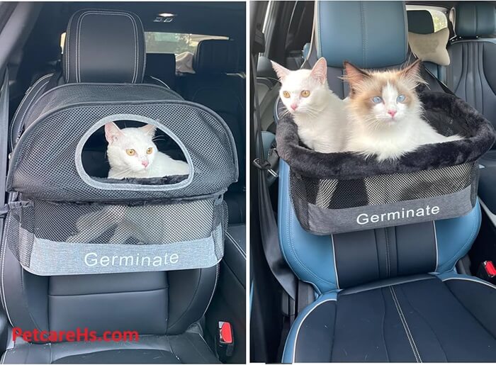 CAT CAR SEAT