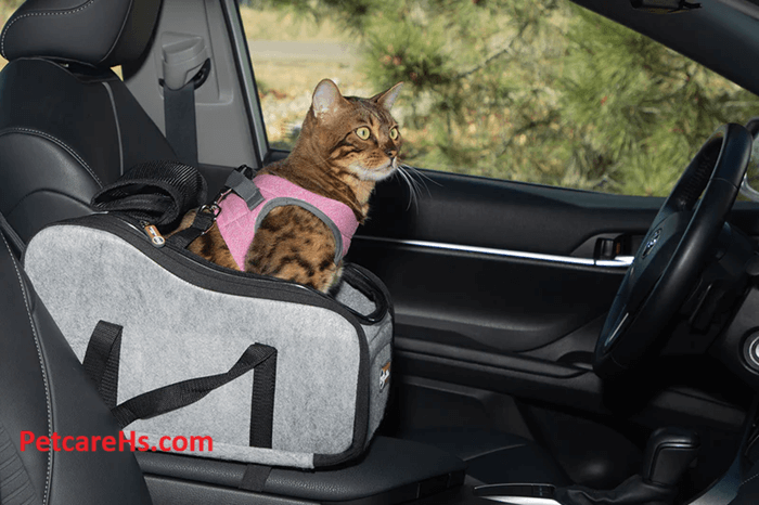 CAT CAR SEAT